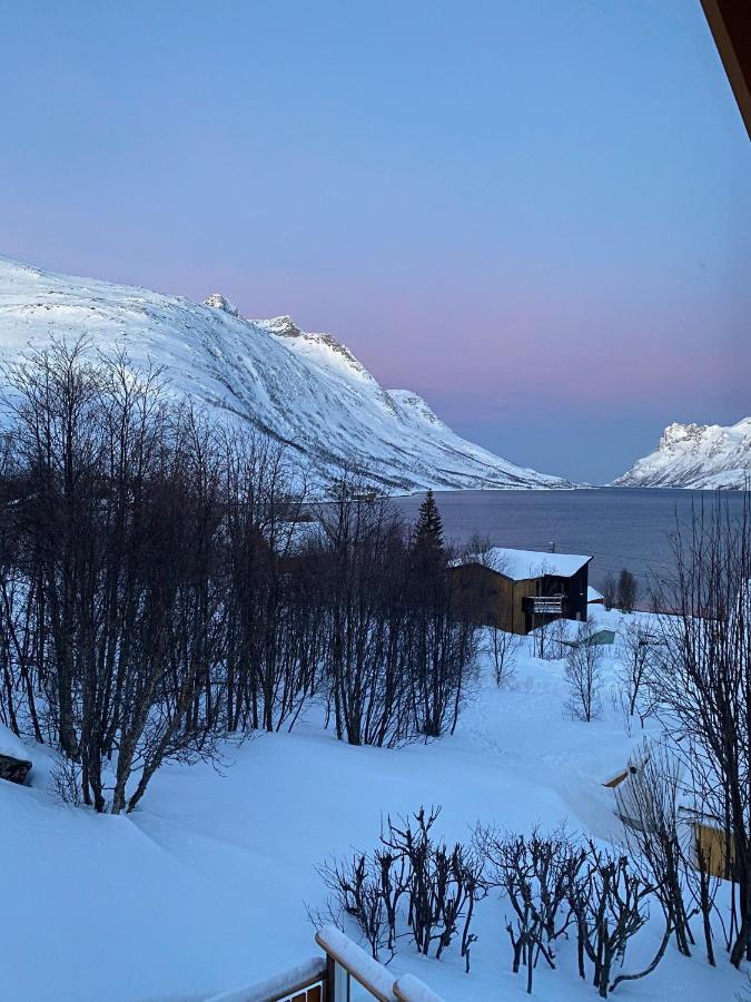 The Crush Ersfjordbotn Exterior foto