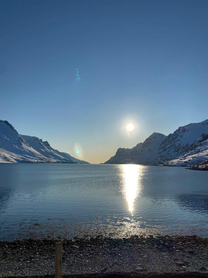 The Crush Ersfjordbotn Exterior foto